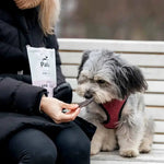 Pala Treats 100% Lammelever 100 gr. by Pala