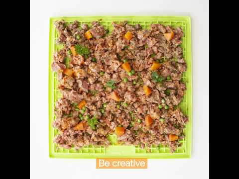 Charger la vidéo : 