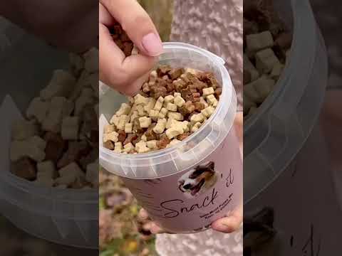 Charger la vidéo : 