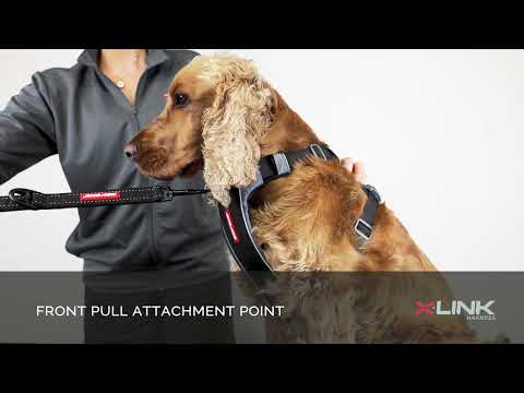 EzyDog X-Link™ Hundesele – Sort