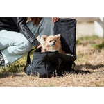 Quiltet hundetaske fra CATAGO med teddy fleecefor by Catago