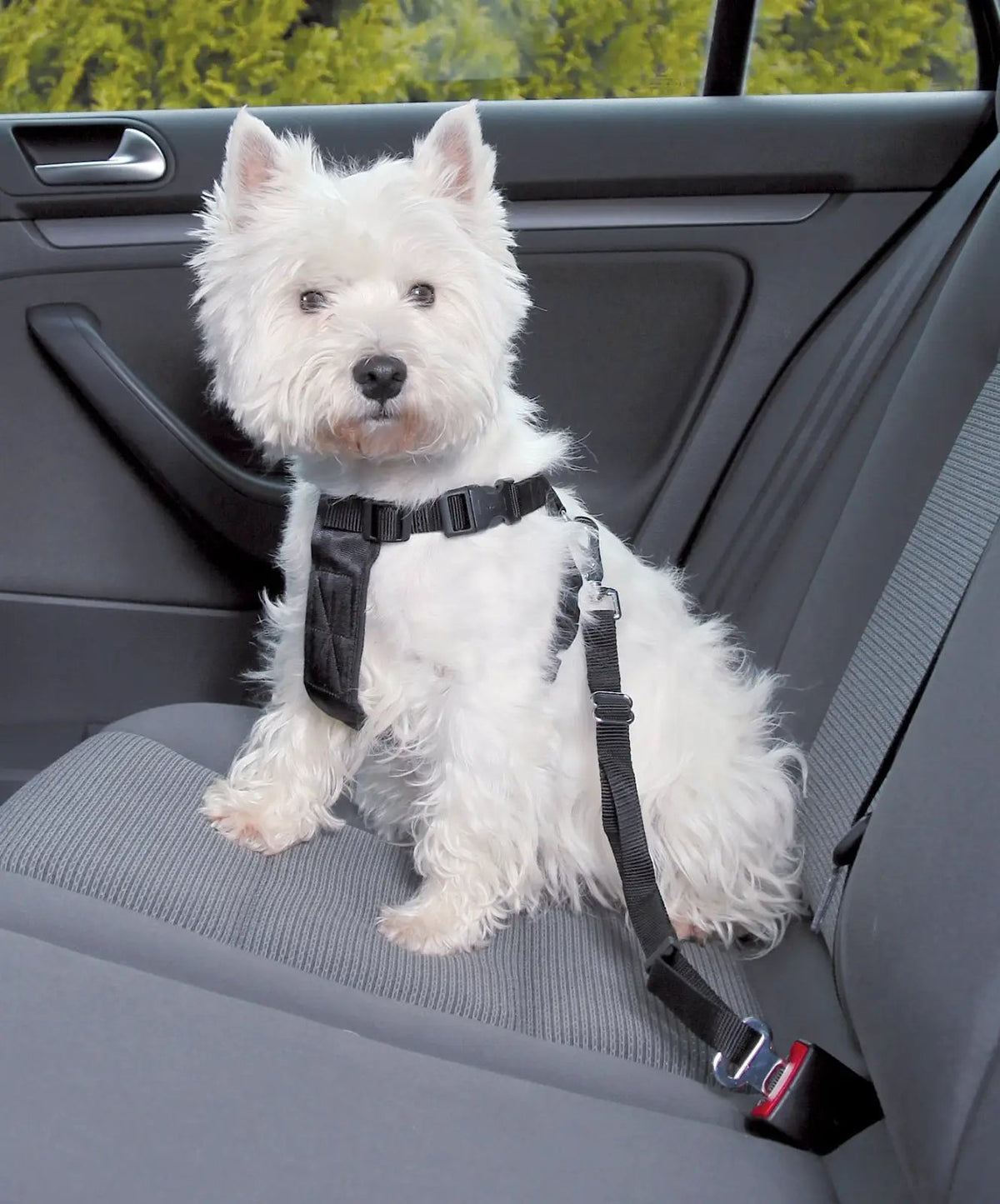 Trixie Bil-sele Sort justerbar hundesele til biltransport med seleclips