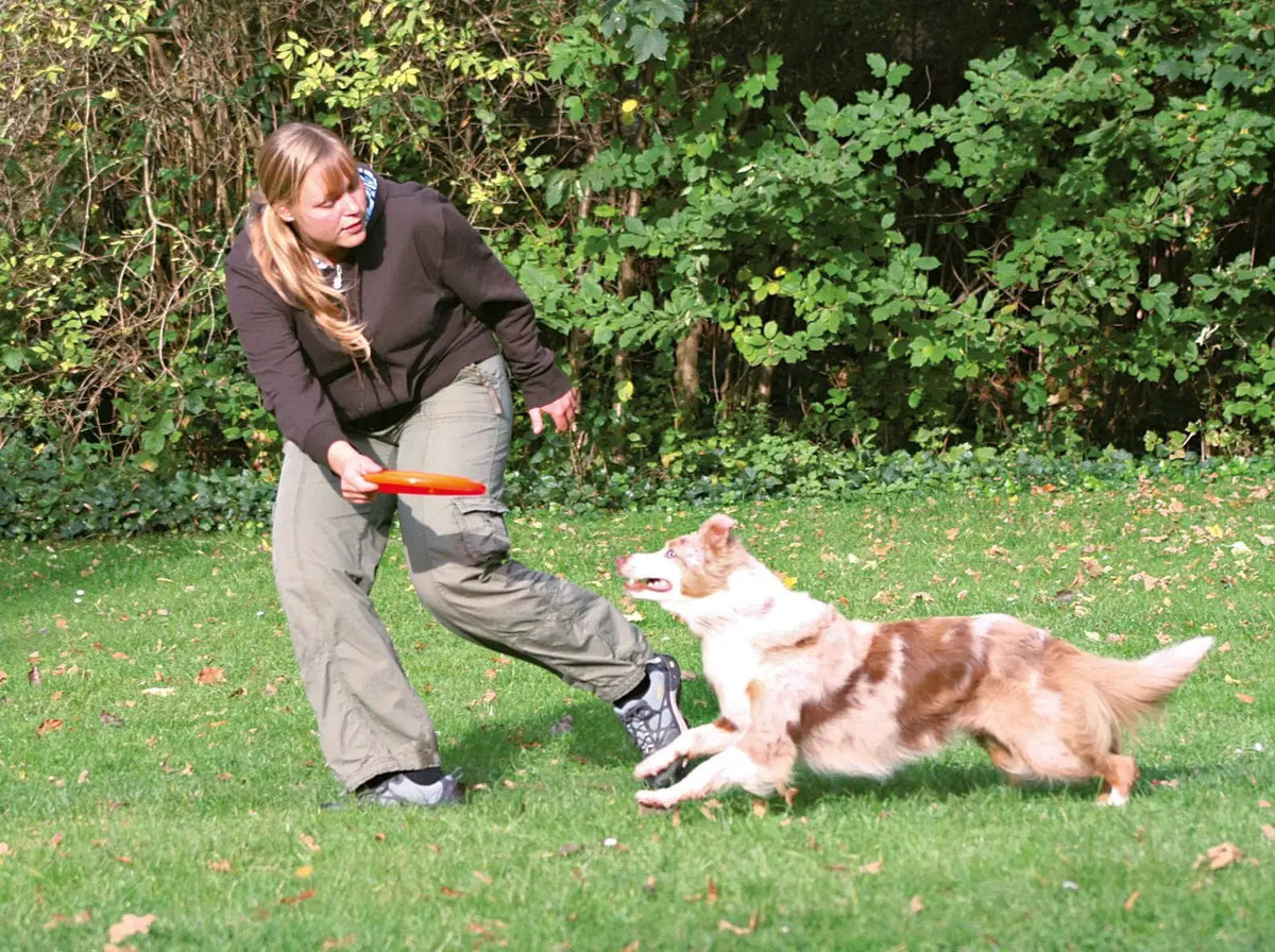 Trixie Dog Activity Dog Disc - 23 cm Udgår by Trixie