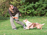 Trixie Dog Activity Dog Disc - 23 cm Udgår by Trixie