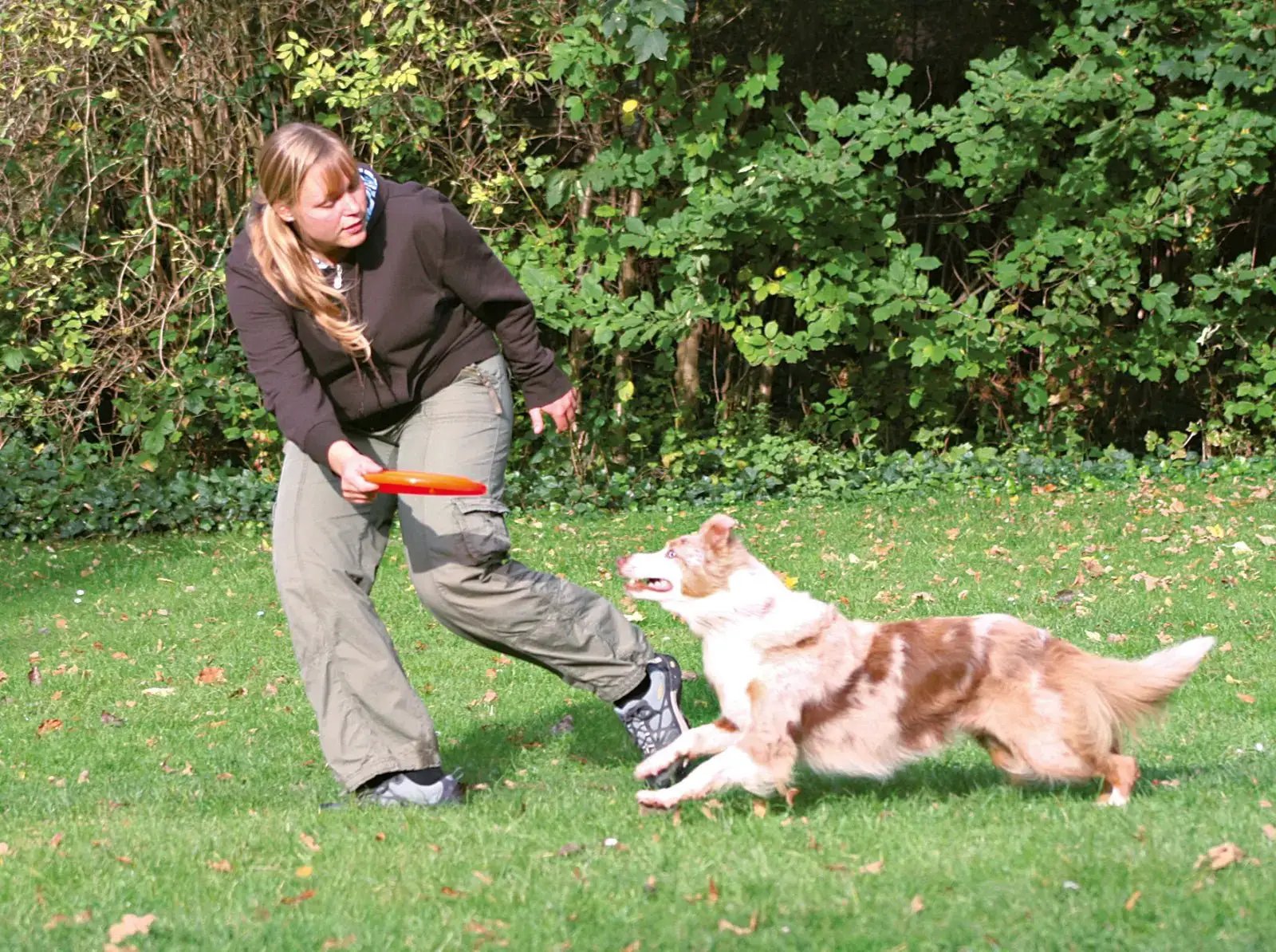 Trixie Dog Activity Dog Disc - 23 cm Udgår by Trixie
