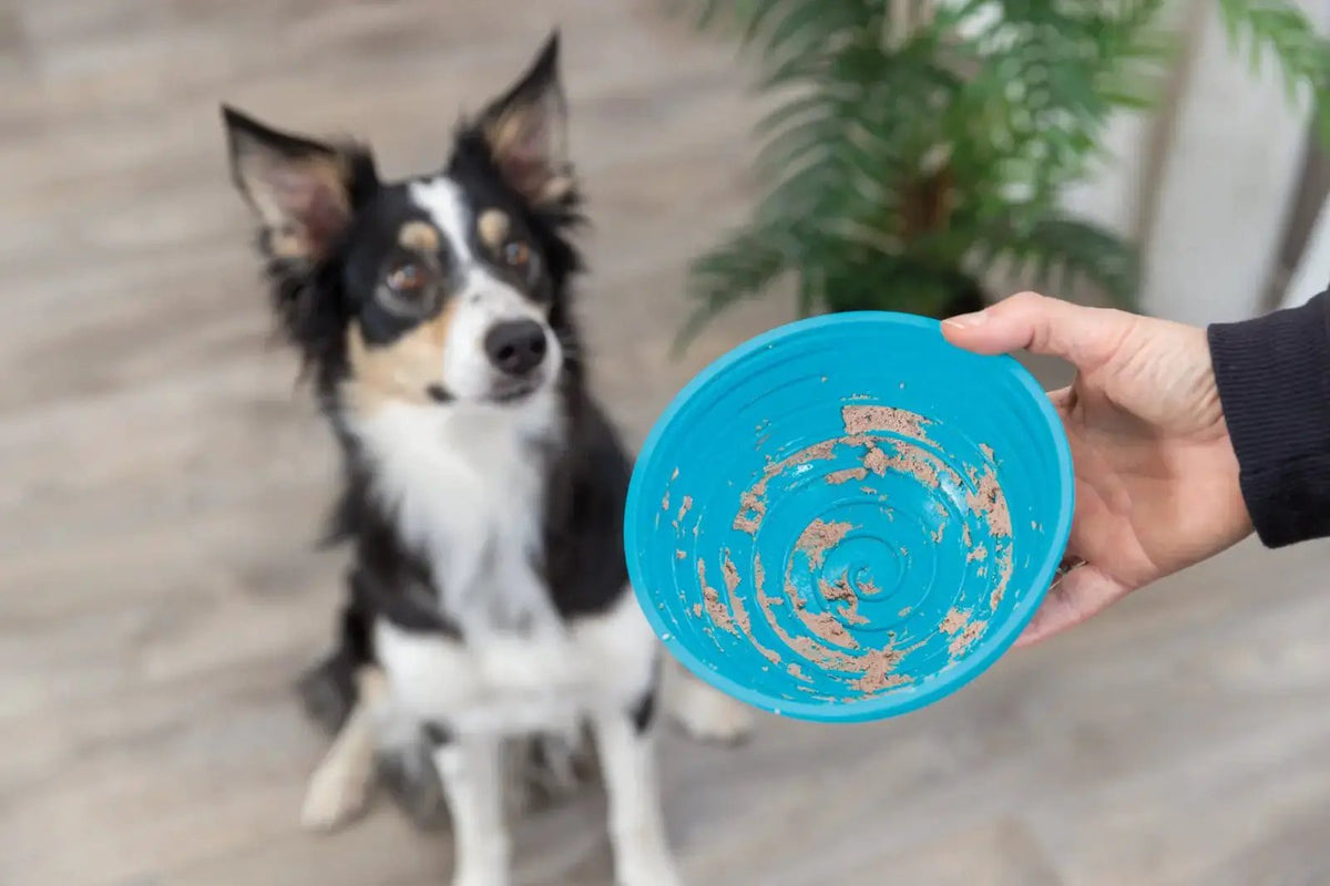 Trixie Lick'n'Snack bowl silicone - Udgår by Trixie
