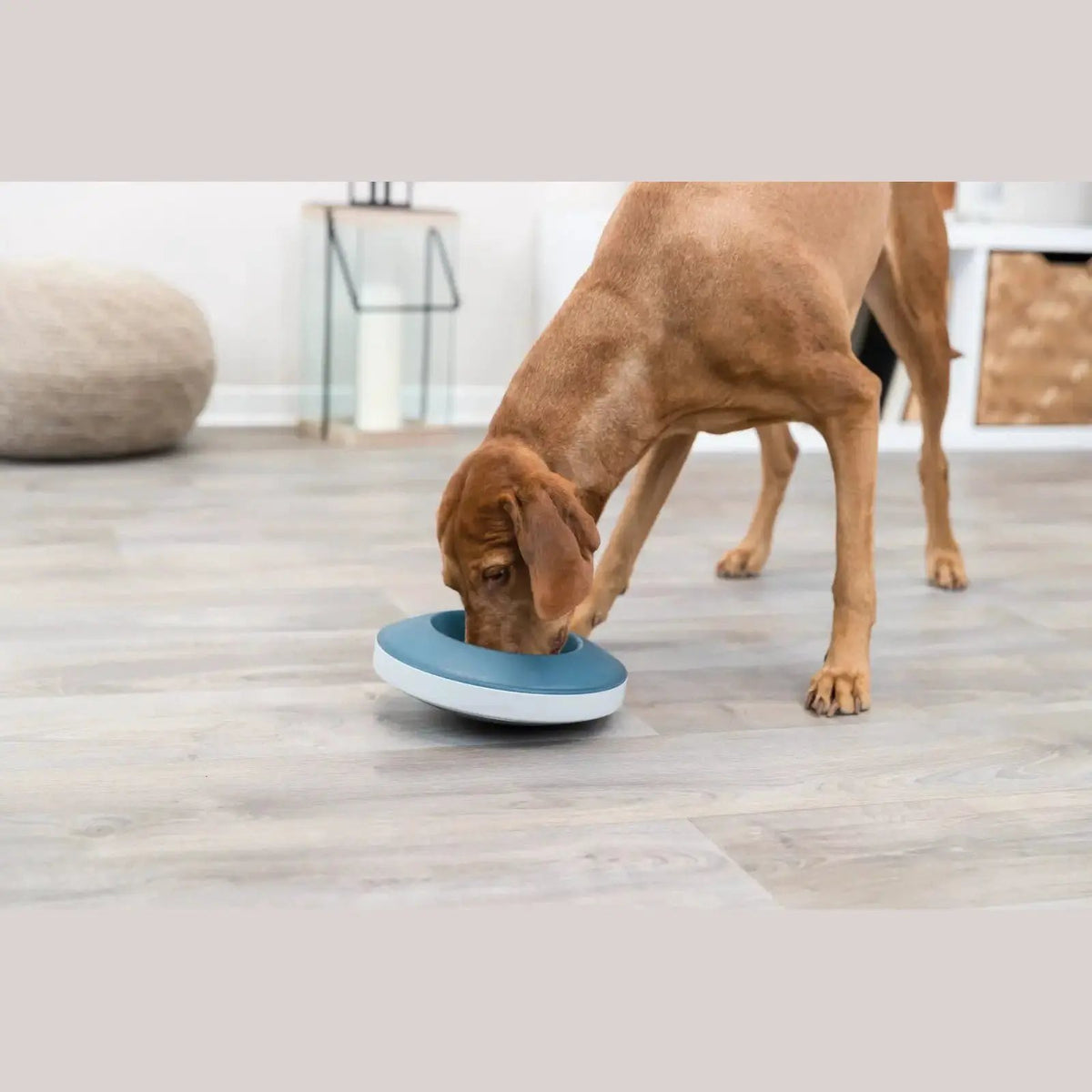 Trixie Rocking Bowl Slow Feeding by Trixie