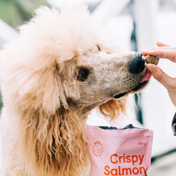 Buddy Crunchy Snack Salmon & Blueberry 150 gr.(EU)