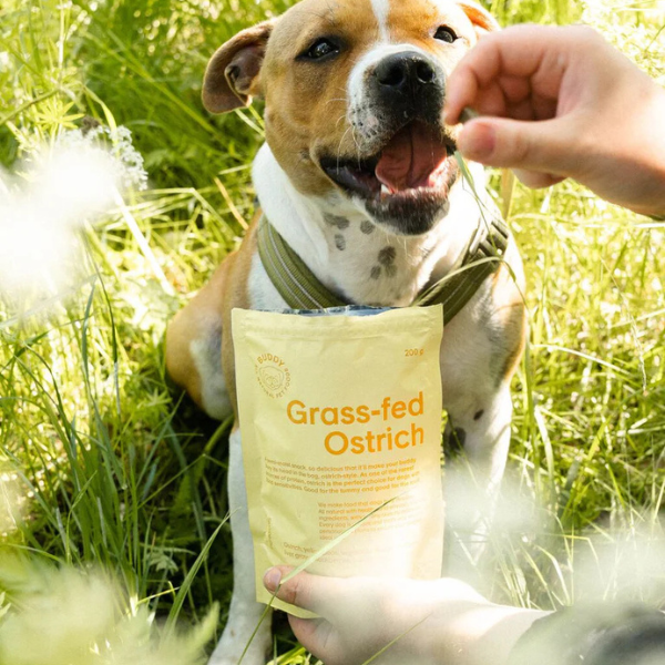 Buddy Semi-moist Snack – Struds & Brombær 200 gr.(EU)