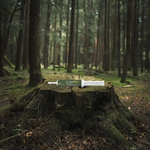 D-ToxPet – 30 ml. by D-ToxPet