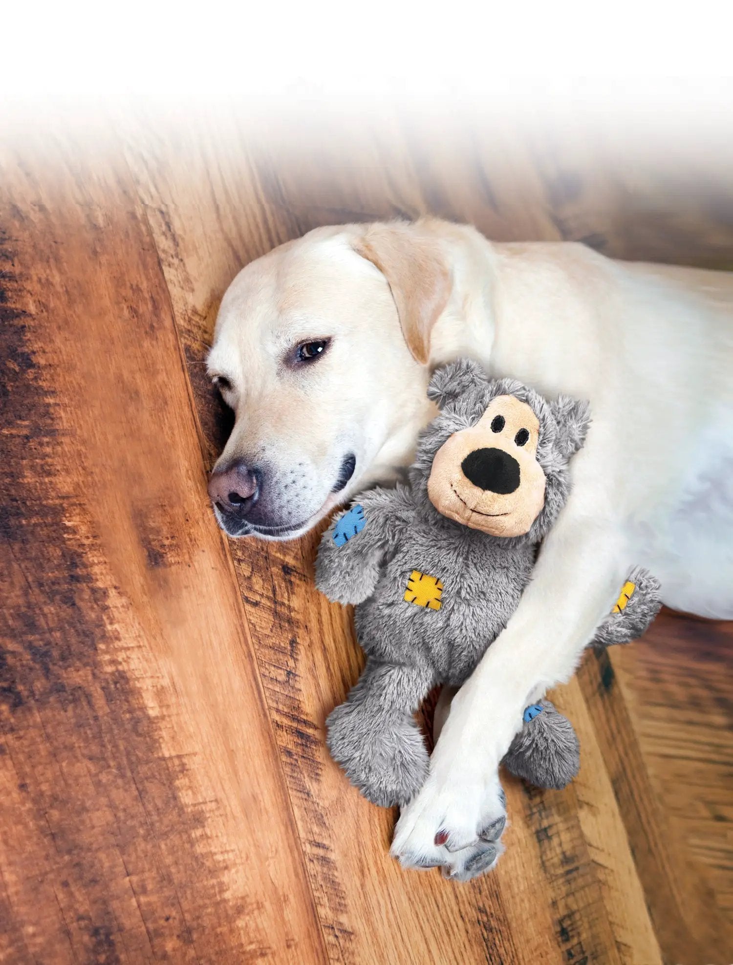 KONG Wild Knots Bear by KONG