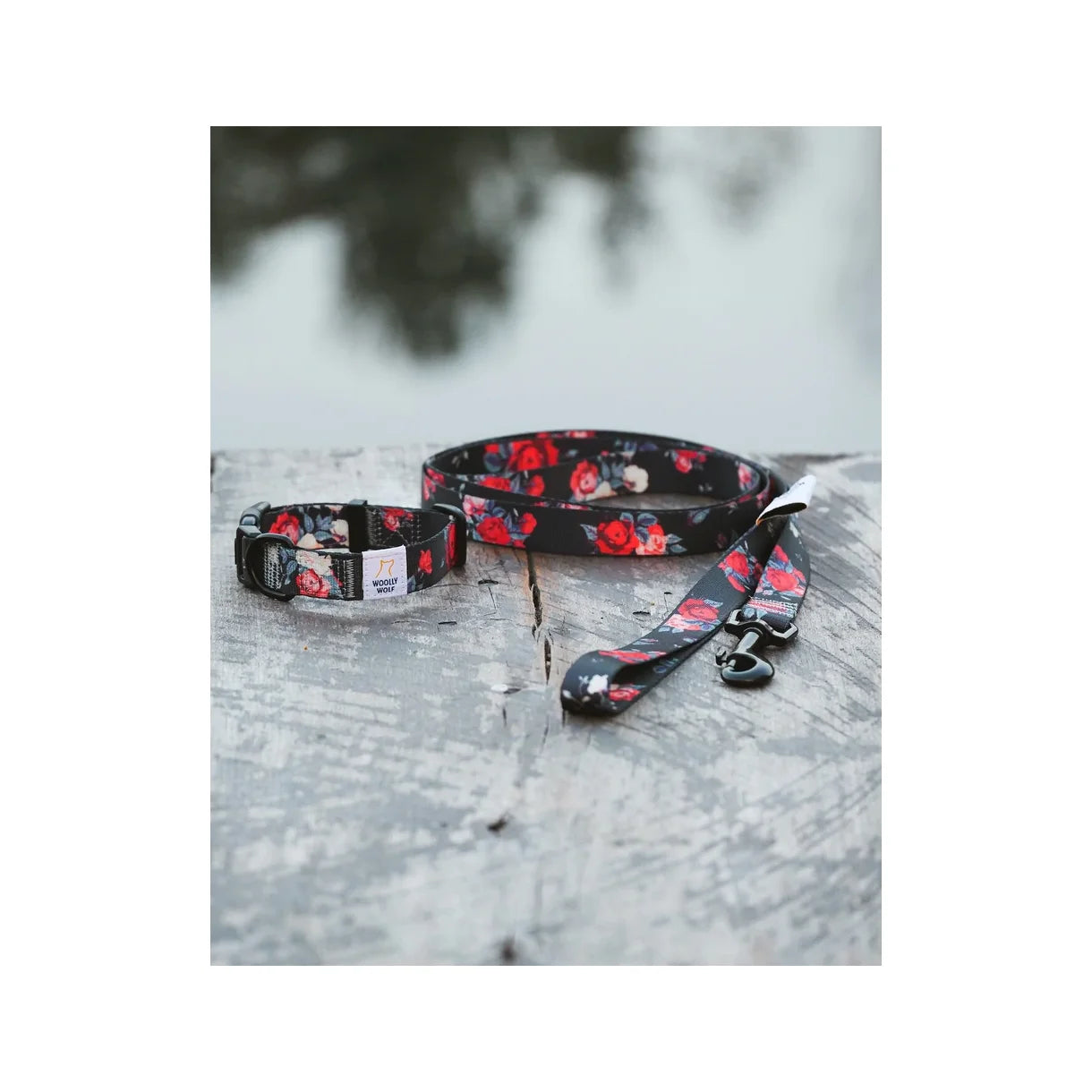 Woolly Wolf Collar WILD ROSE