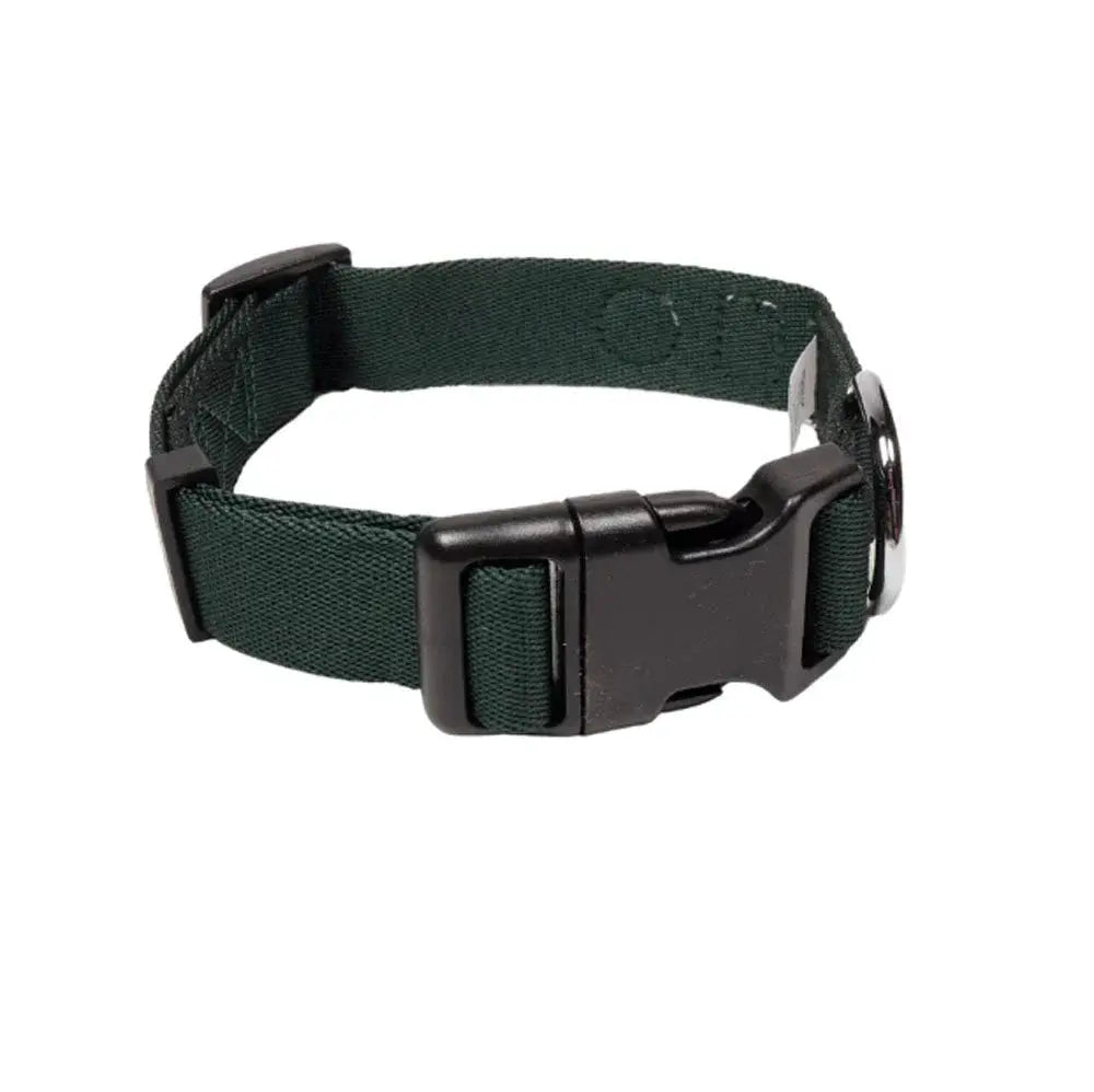 Hundehalsbånd - Woolly Wolf Juicy & Evergreen Udgår by Woolly Wolf